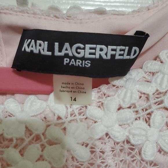 Karl Lagerfeld Lacy, Embroidered Sheath Dress - Picture 2 of 6